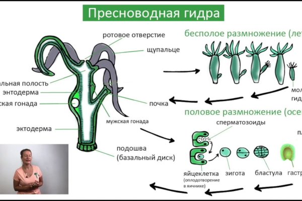 Ссылка на кракен 14ат